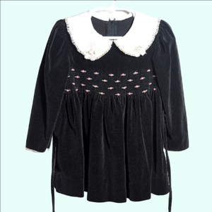 Black Velvet Dress with White Collar